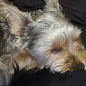 Meet your Posher, Deanna